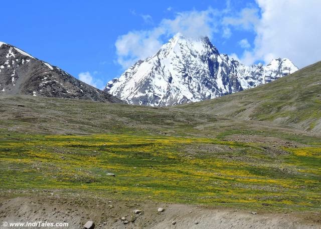 Manali Kaza Chandratal